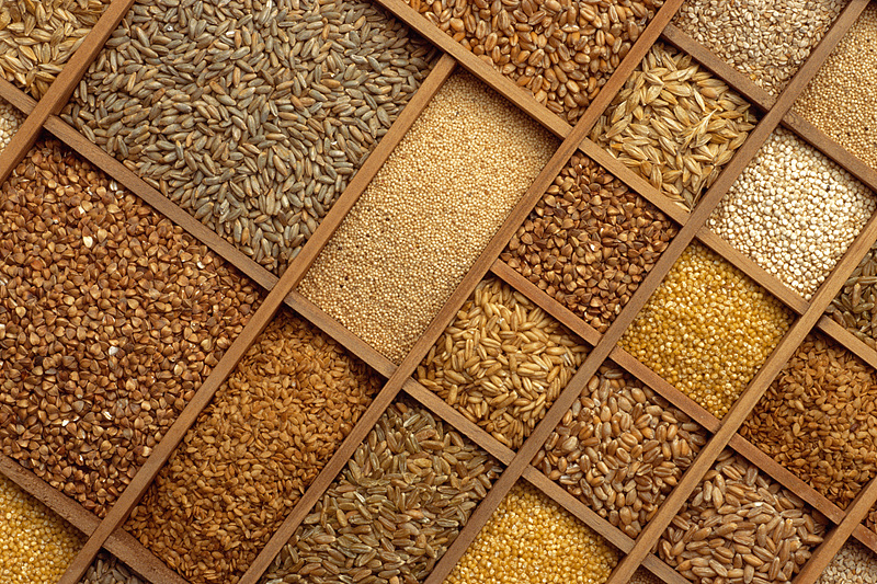 22首都粮食博物馆(VCG).jpg 22首都粮食博物馆(VCG).jpg