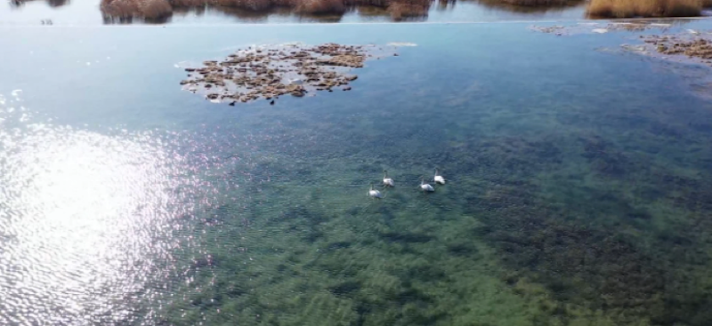 图片 1.png 图片 1.png