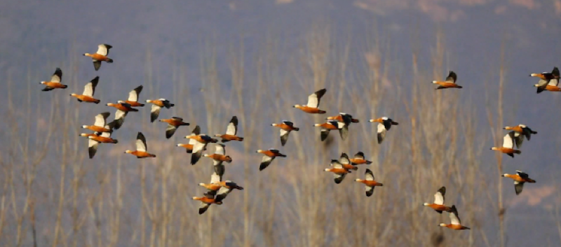 图片 2.png 图片 2.png