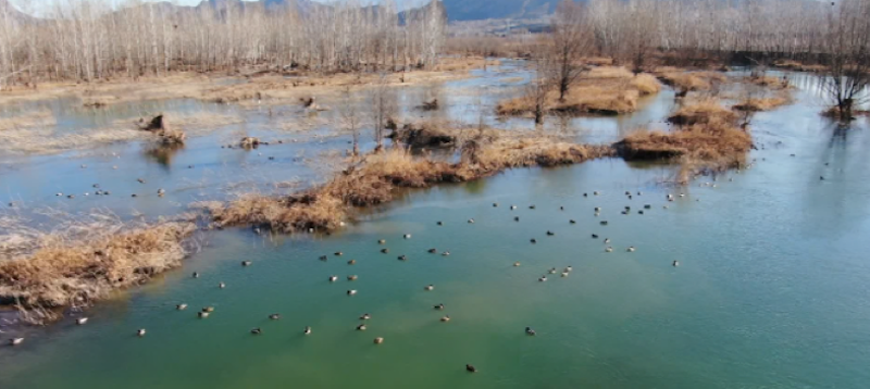 图片 3.png 图片 3.png