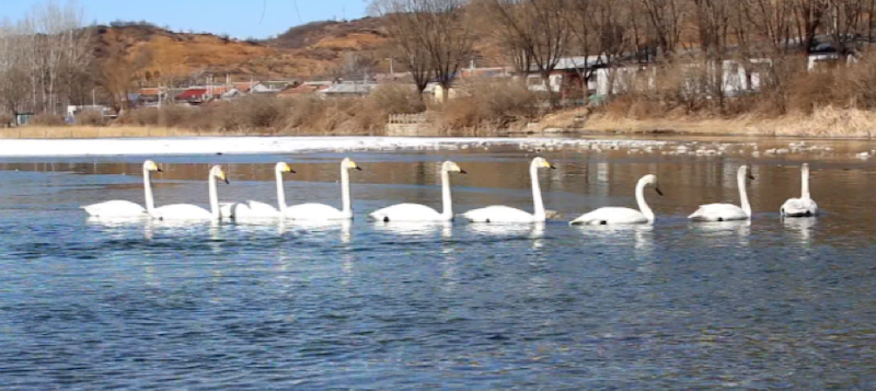 图片 4.png 图片 4.png