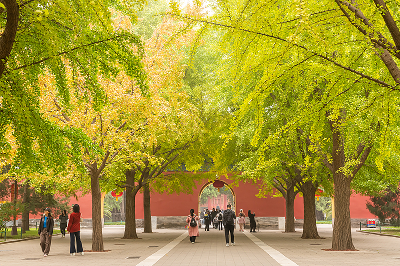 VCG 中山公园.jpg