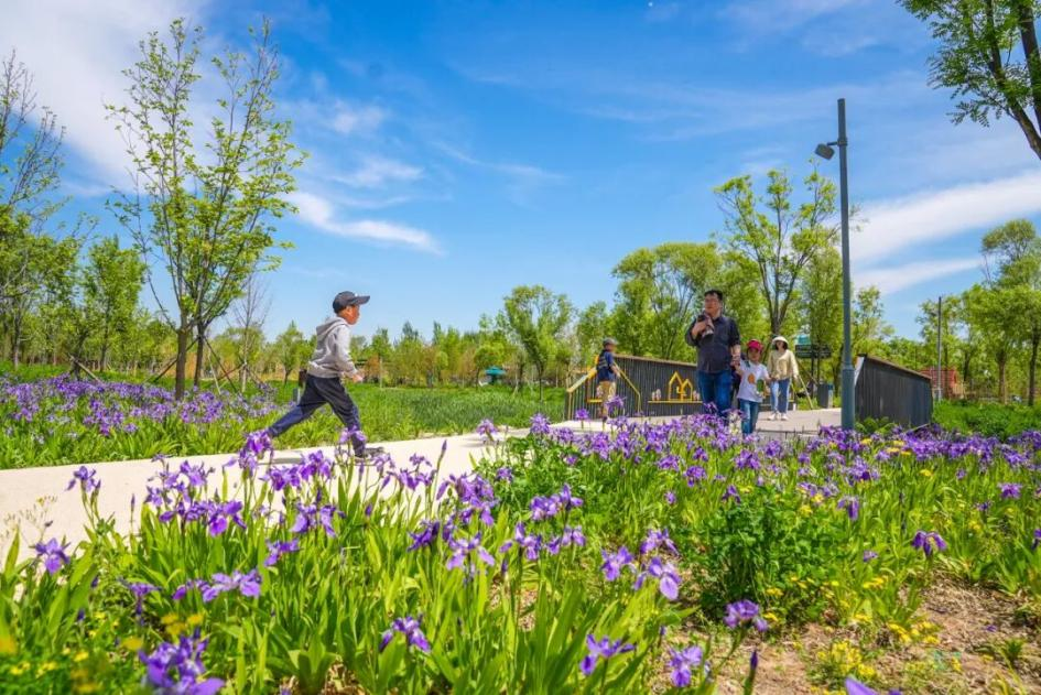 图片 北京日报客户端.png