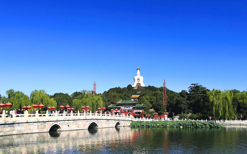 新京报 800 内容.png