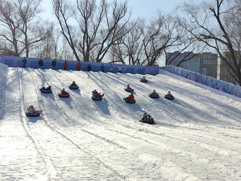 玉渊潭公园雪场 游客3.jpg