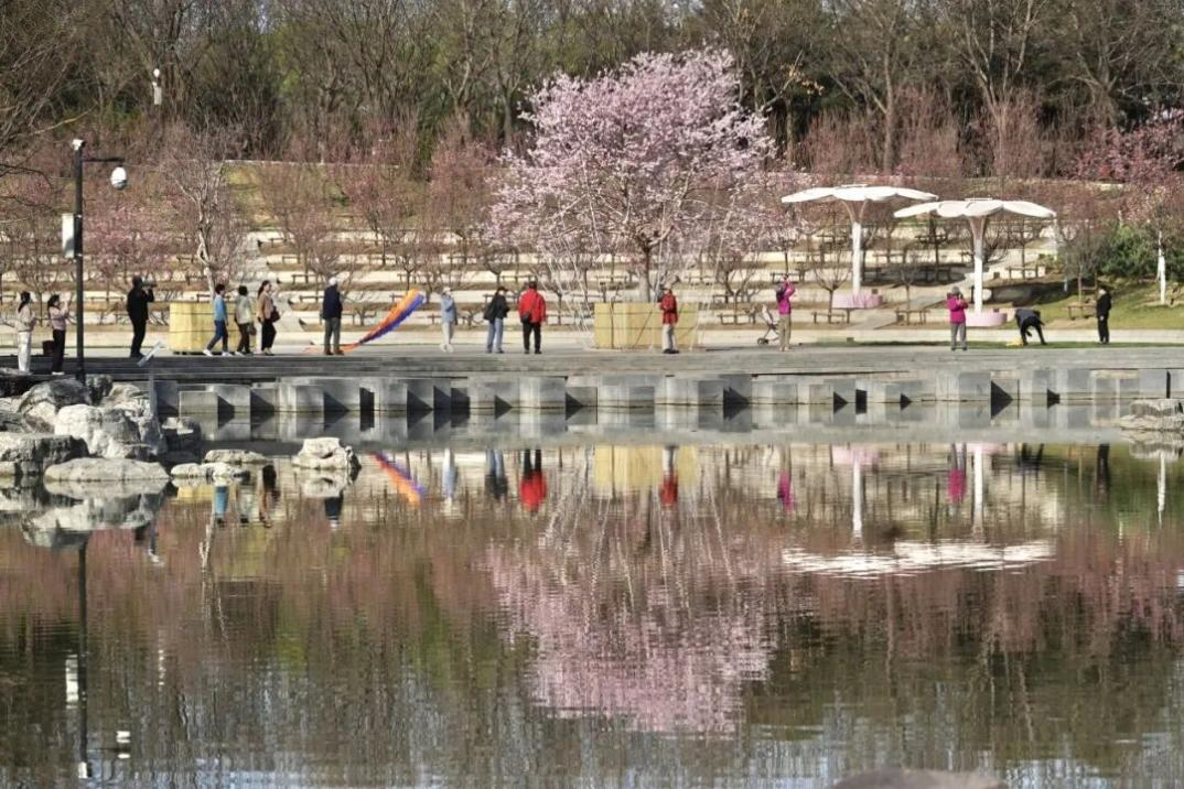 内文2 手动800.png 内文2 手动800.png