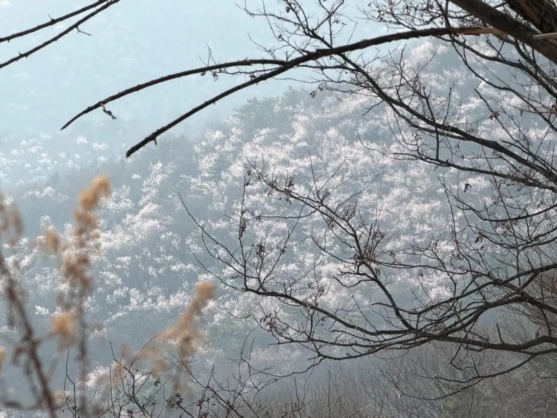 北京日报 正文800.jpg