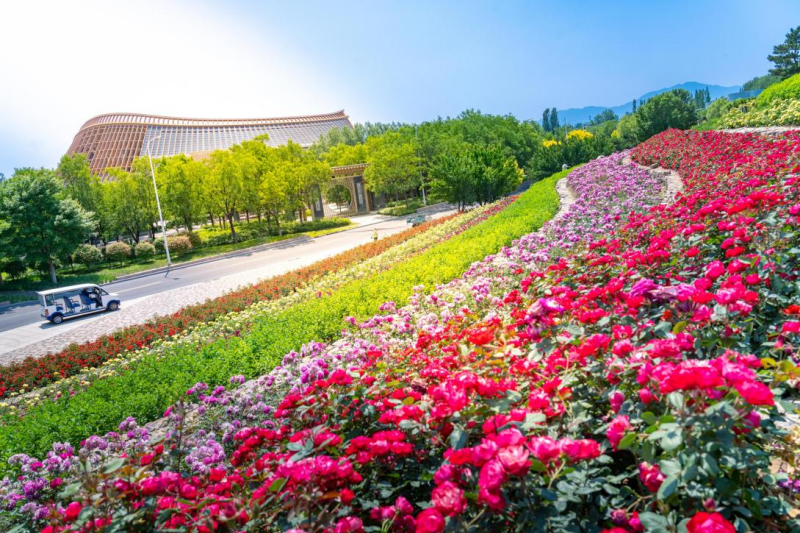 图片10 (1).png 图片10 (1).png