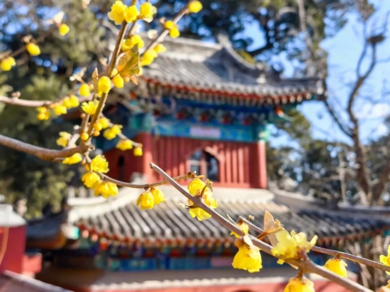 图片1_副本.jpg 图片1_副本.jpg