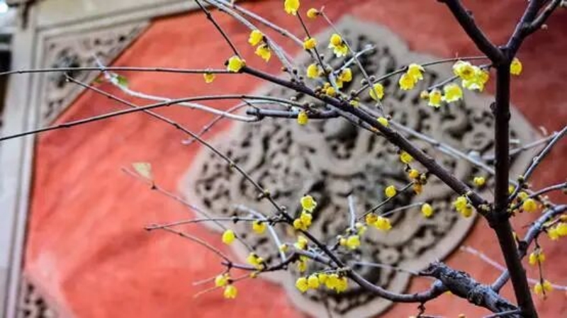 图片2_副本.jpg 图片2_副本.jpg