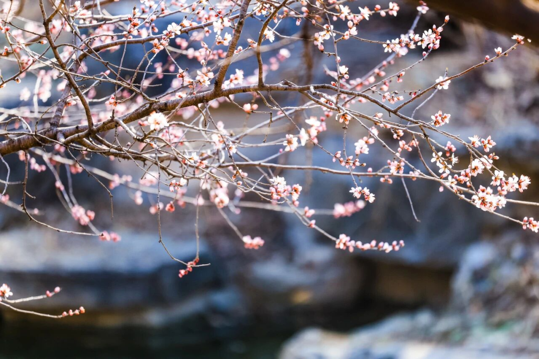 图片3 手动800.png 图片3 手动800.png