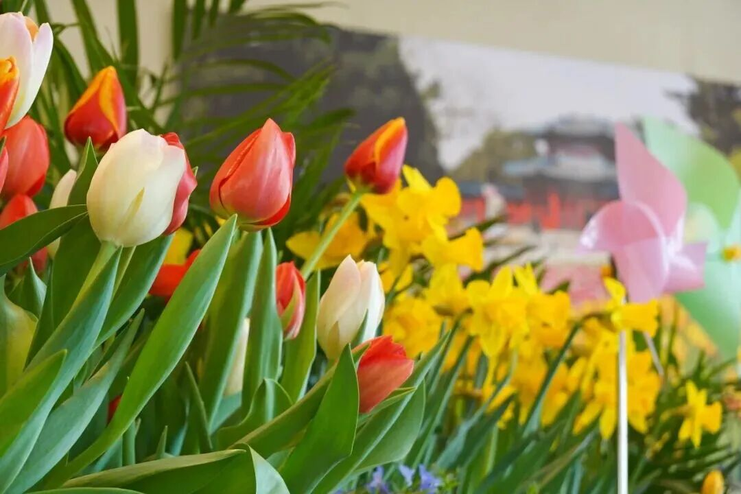 图片4 手动800.png 图片4 手动800.png