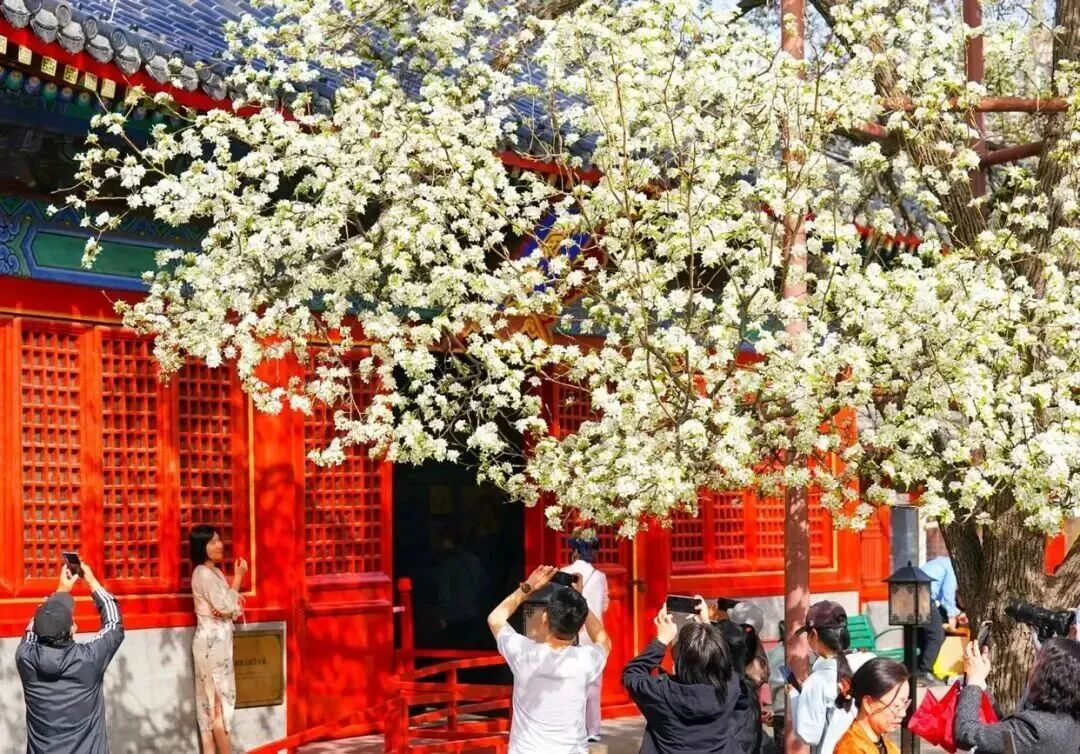 图片7 手动800.png 图片7 手动800.png