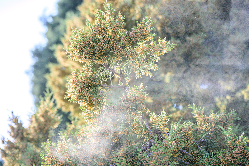 内容页 来源:VCG.jpg 内容页 来源:VCG.jpg